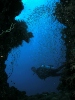 Unterwasserbilder