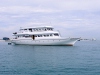 MS Stingray Malediven