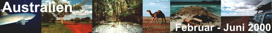 Australienreise von Februar bis Juni 2000 (Sydney, Outback, Uluru, West Australien)